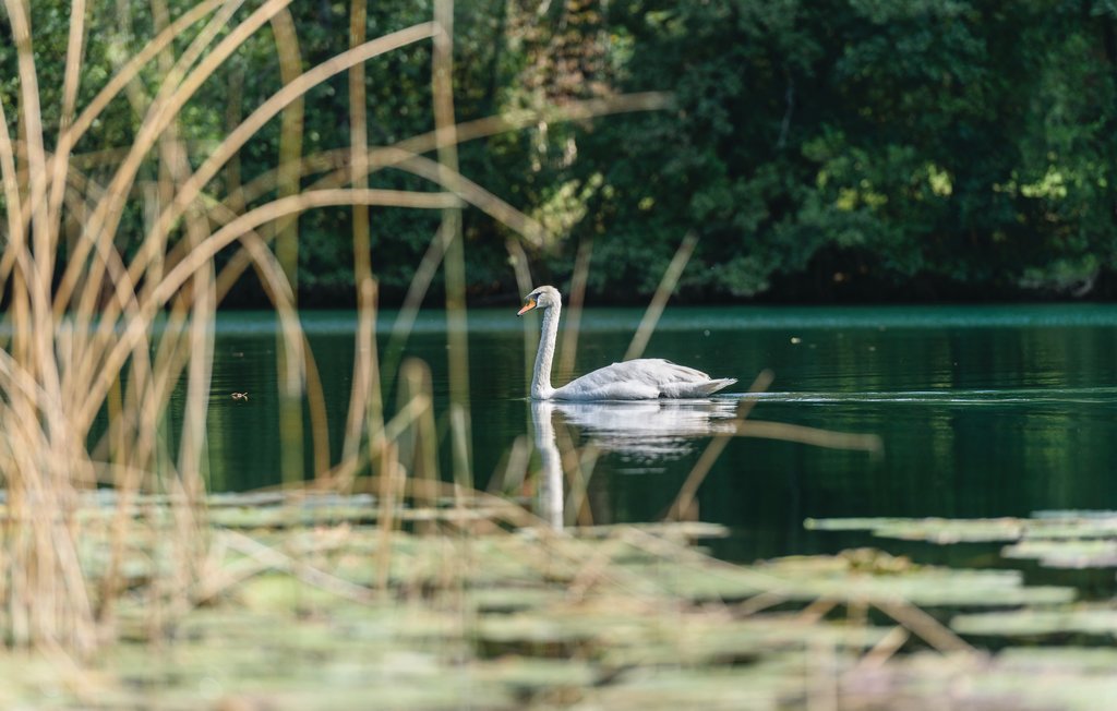 Ferienhaus - Karlovac-Gornji Zvecaj , Kroatien - CCC131 55