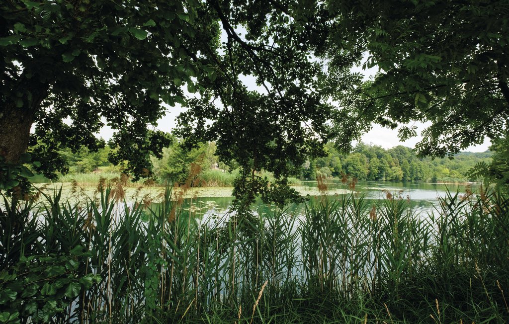 Feriehus - Karlovac-Belavici , Kroatia - CCC014 33