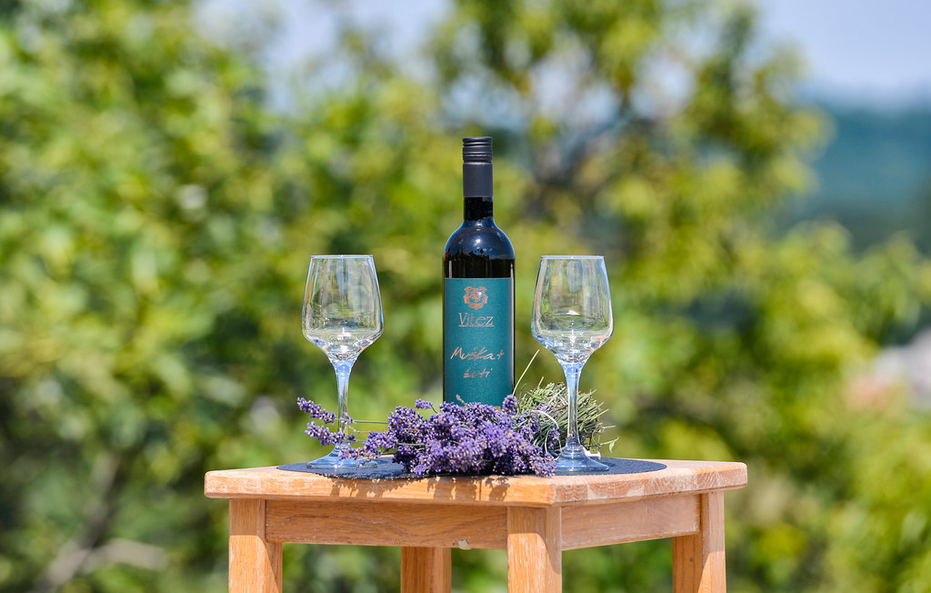 Feriehus - Varazdinske Toplice-Lestakovec , Kroatia - CCC090 23