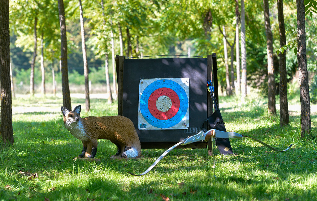 Feriehus - Bjelovar-Ivanska , Kroatia - CCC129 17