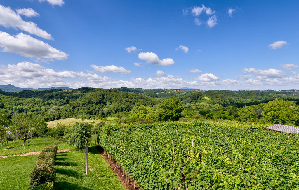 Feriehuse - Varazdin-Jalzabet , Kroatien - CCC159 24