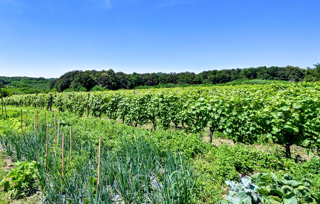 Feriehus - Bjelovar - Gornja Ploscica , Kroatia - CCC299 21