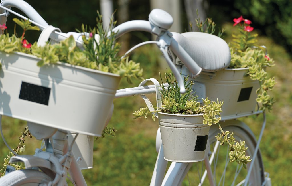 Feriehus - Varazdin-Vinica , Kroatia - CCC082 13