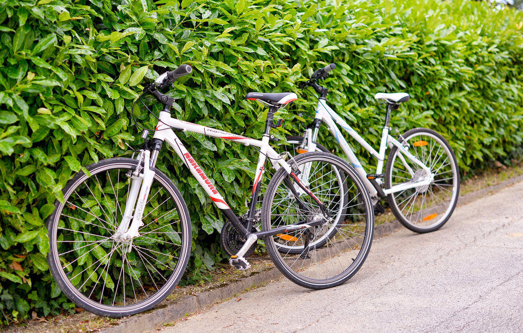 Semesterhus - Novi Marof-Podrute , Kroatien - CCC276 24