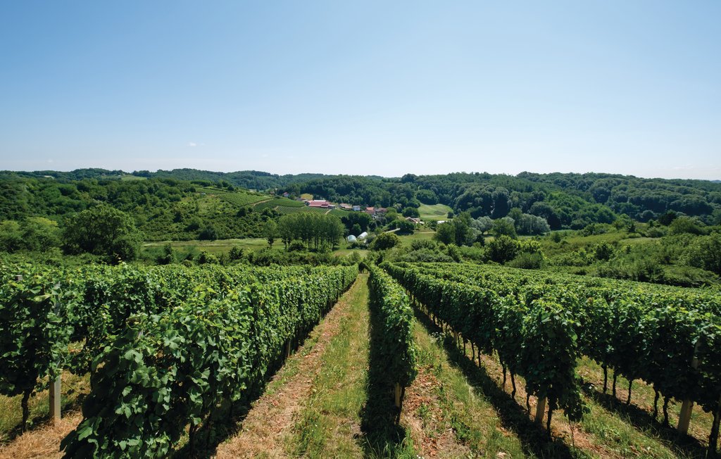 Ferienhaus - Hrnjanec-Sv.Ivan Zelina , Kroatien - CCC016 12