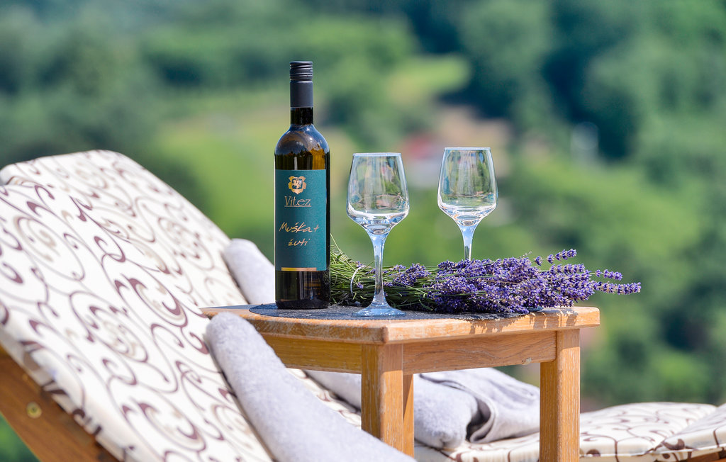 Feriehus - Varazdinske Toplice-Lestakovec , Kroatia - CCC090 22