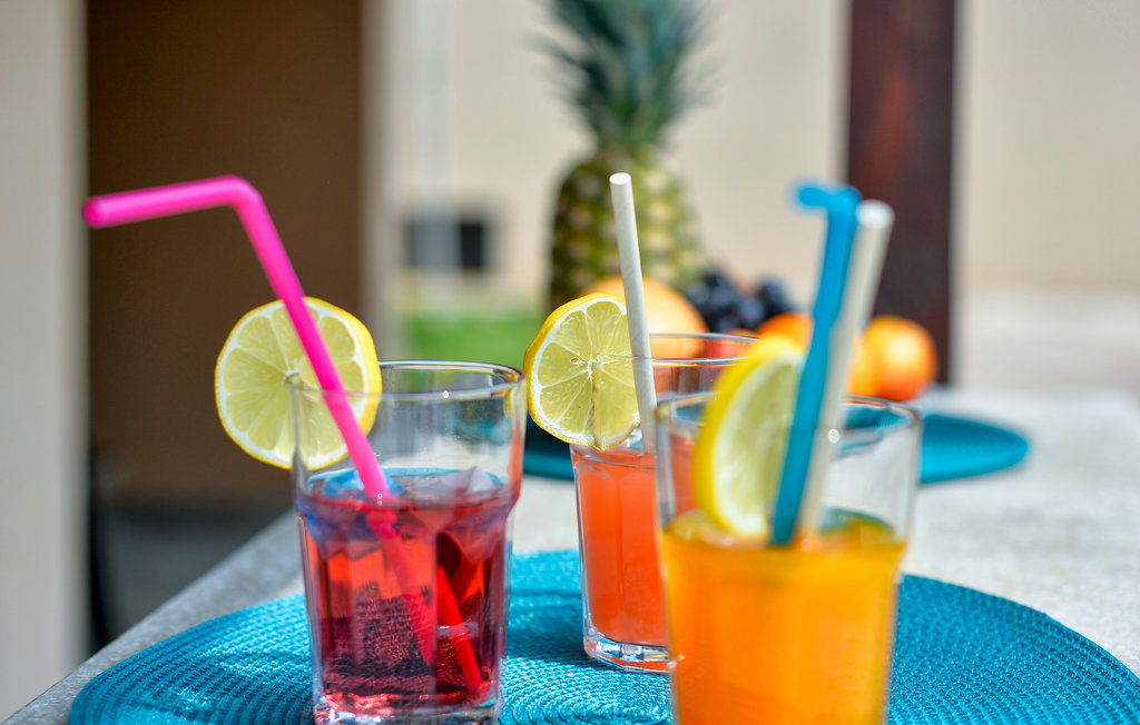 Ferienhaus - Varazdin-Beretinec , Kroatien - CCC319 18