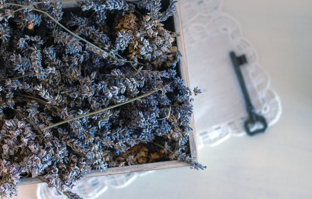 Feriehuse - Varazdin-Ludbreg , Kroatien - CCC054 31