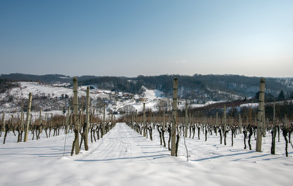 Ferienhaus - Hrnjanec-Sv.Ivan Zelina , Kroatien - CCC016 15