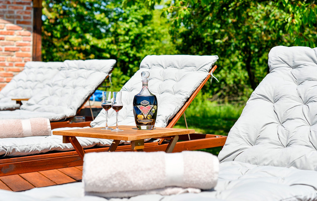 Feriehus - Bjelovar-Nova Diklenica , Kroatia - CCC271 16