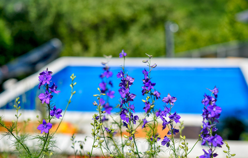 Ferienhaus - Varazdinske Toplice-Vrtlinovec , Kroatien - CCC326 15