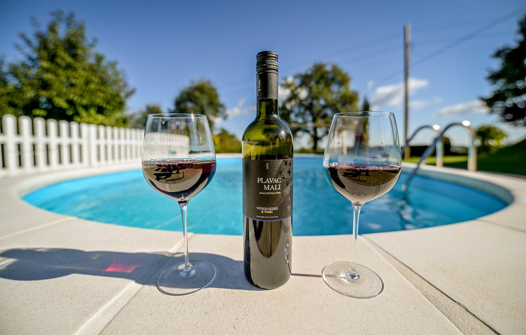 Feriehuse - Varazdin-Gacice , Kroatien - CCC188 12