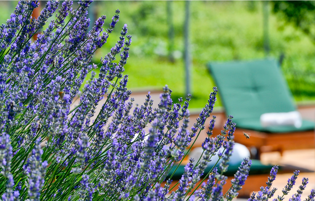 Feriehuse - Varazdin-Lepoglava , Kroatien - CCC088 11
