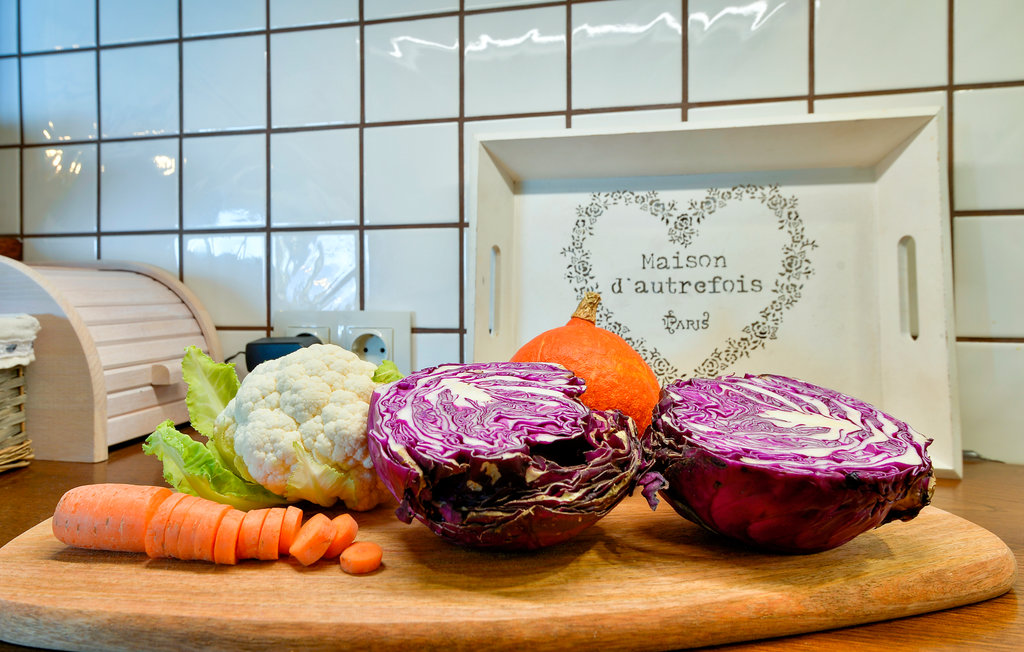 Semesterhus - Varazdin-Trakoscan , Kroatien - CCC156 36