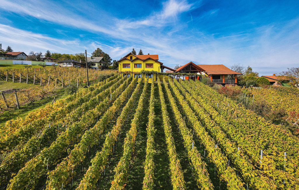 Semesterhus - Pitomaca - Sedlarica , Kroatien - CCC368 13