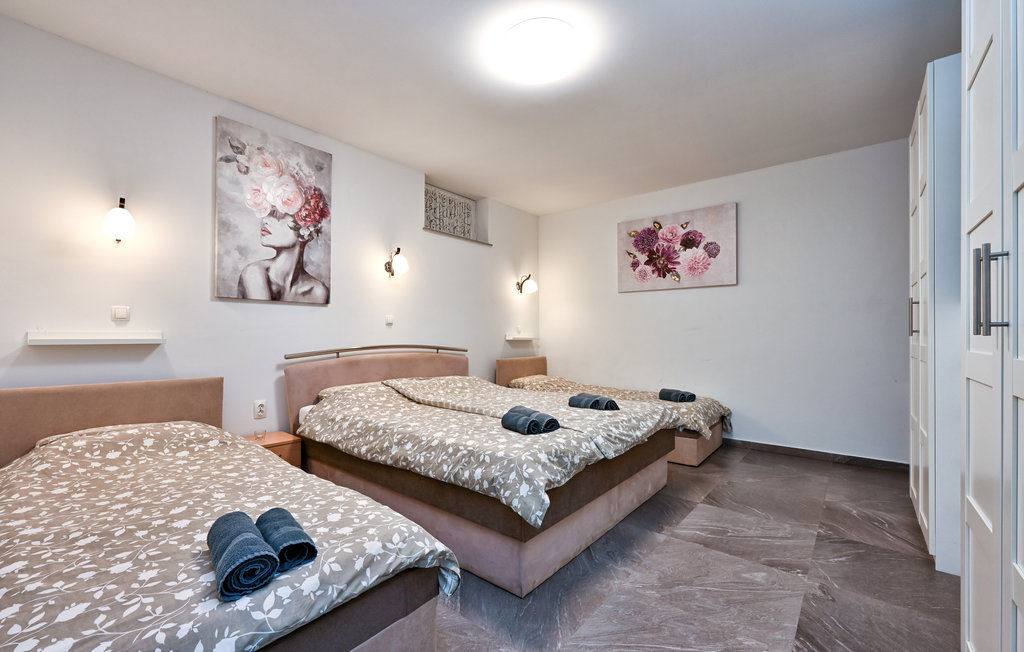 Ferienhaus - Bjelovar - Kapela , Kroatien - CCC379 31