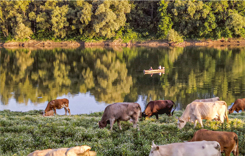 Kuća-za-odmor - Lonjsko polje - Drenov Bok , Hrvatska - CCC399 28