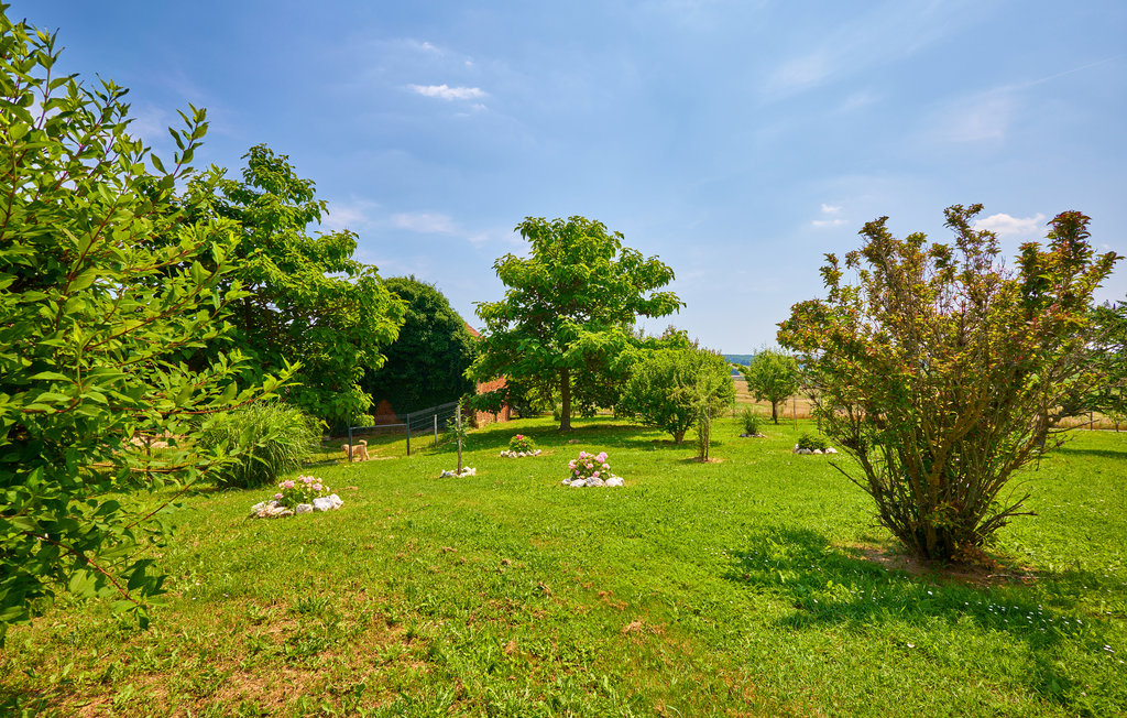 Ferienhaus - Krizevci , Kroatien - CCC386 22