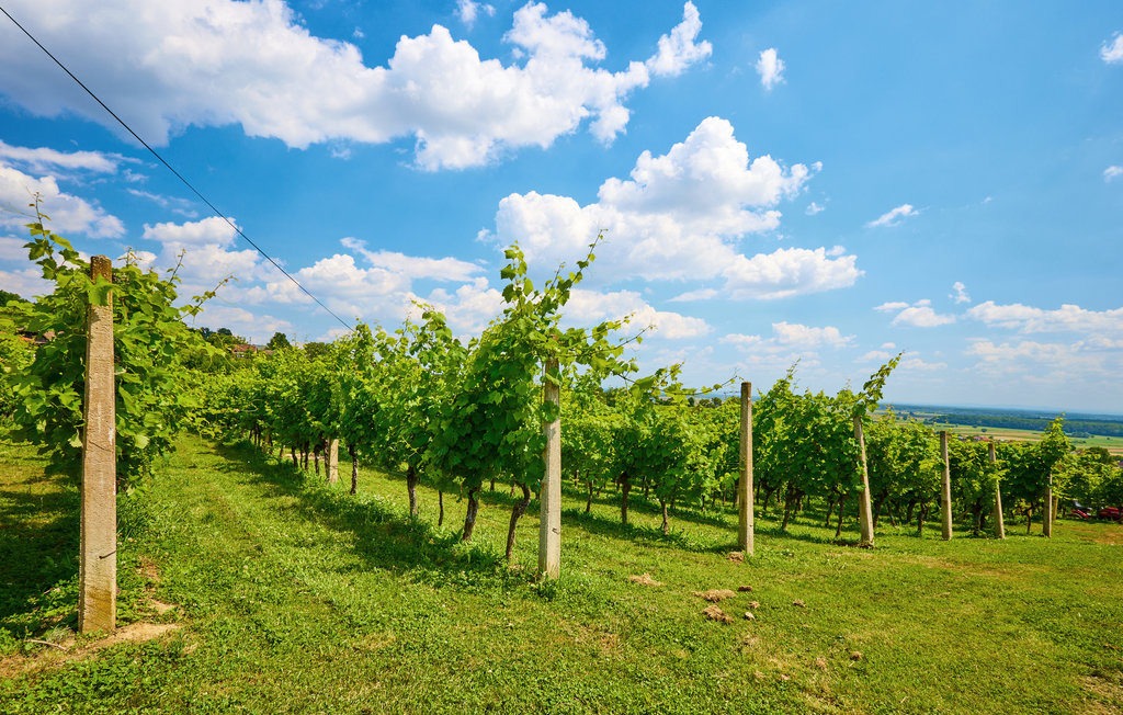 Feriehus - Popovaca , Kroatia - CCC293 15