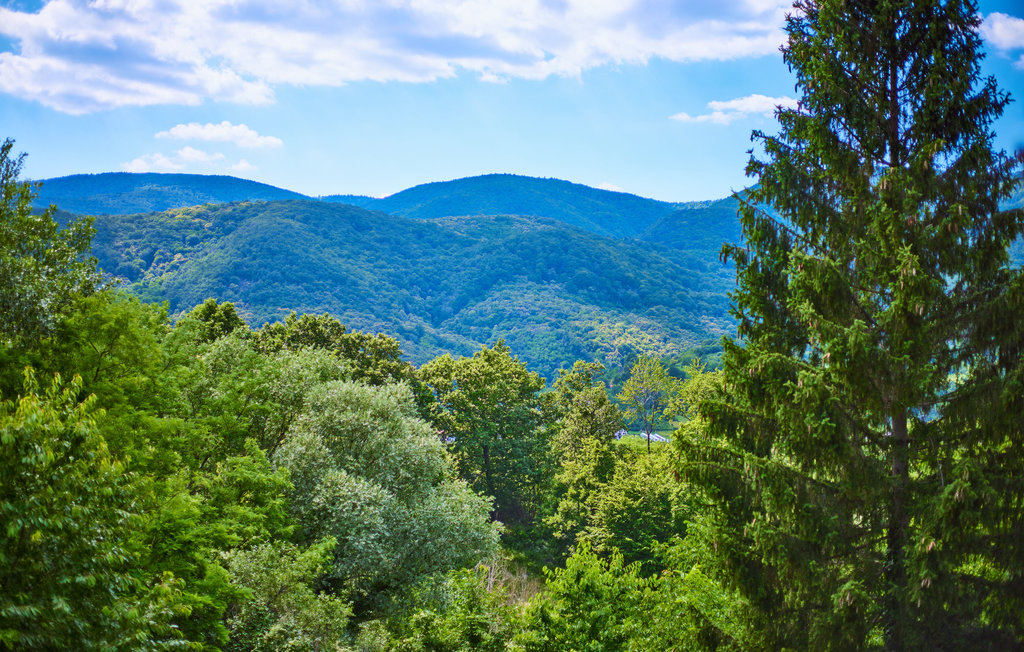 Feriehuse - Zagreb-Suskovici , Kroatien - CCC439 15