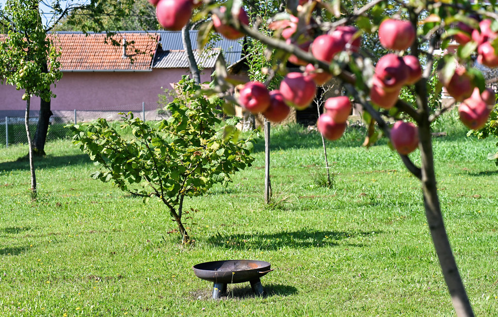 Feriehuse - Sveti Martin na Muri-Selnica , Kroatien - CCC357 17