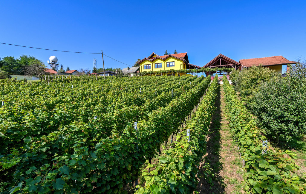 Semesterhus - Pitomaca - Sedlarica , Kroatien - CCC368 28