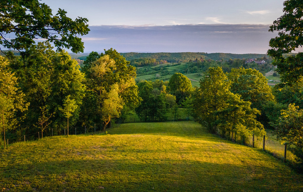 Feriehuse - Velika Gorica-Gustelnica , Kroatien - CCC453 42