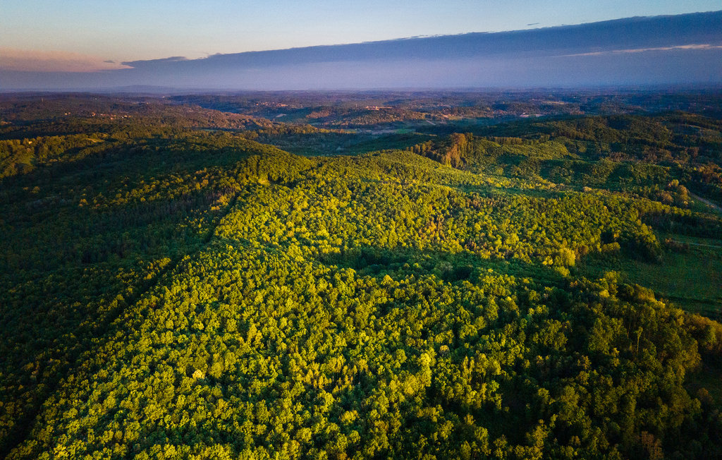 Feriehuse - Velika Gorica-Gustelnica , Kroatien - CCC453 43