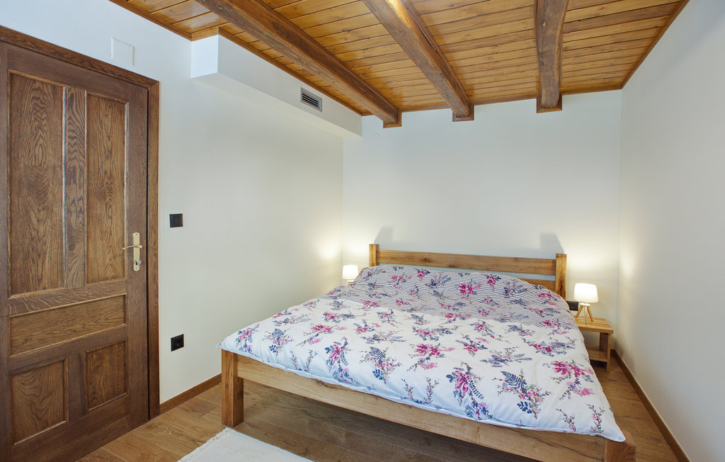 Feriehuse - Velika Gorica-Gustelnica , Kroatien - CCC453 33