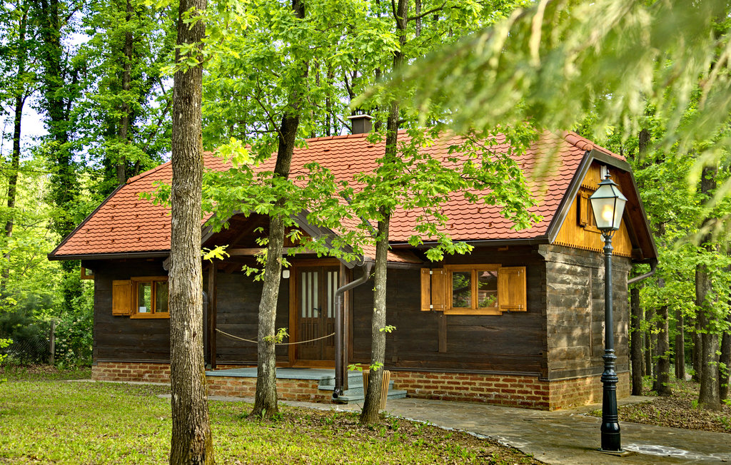 Feriehuse - Velika Gorica-Gustelnica , Kroatien - CCC453 10