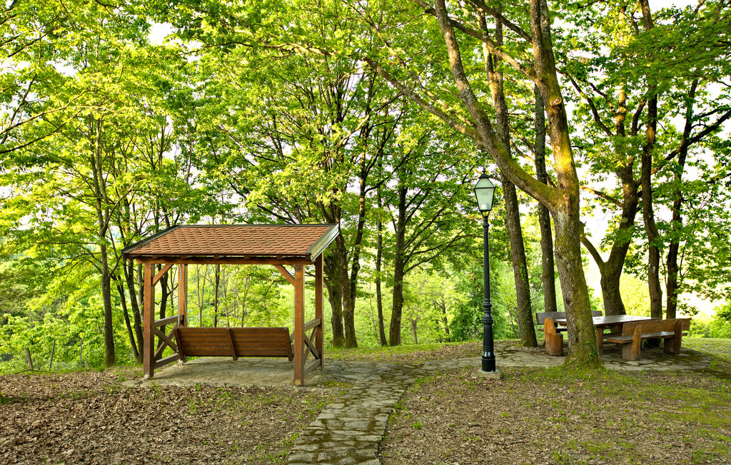 Feriehuse - Velika Gorica-Gustelnica , Kroatien - CCC453 16