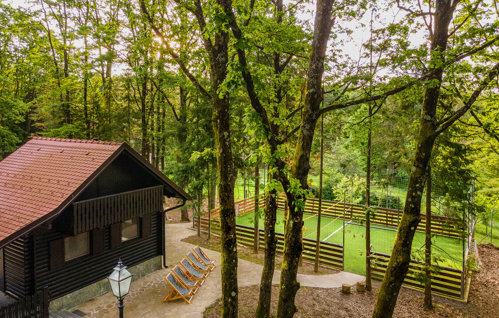 Feriehuse - Velika Gorica-Gustelnica , Kroatien - CCC453 20