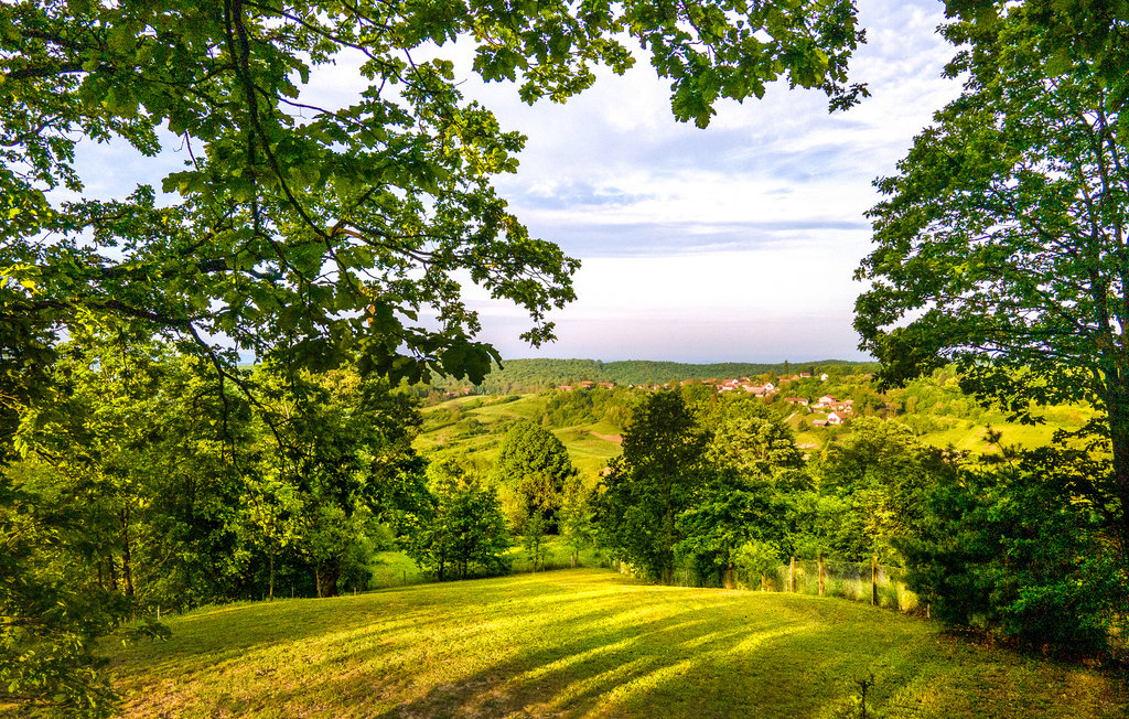 Feriehuse - Velika Gorica-Gustelnica , Kroatien - CCC453 28