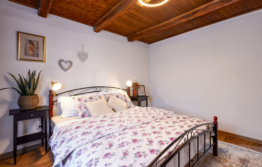 Feriehuse - Velika Gorica-Augustanovec , Kroatien - CCC456 30