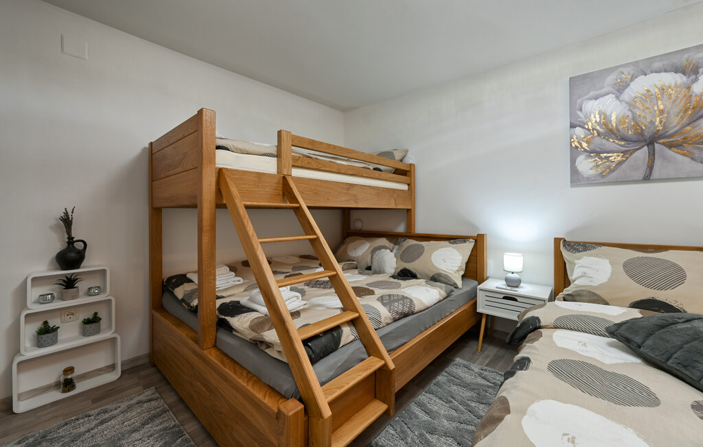 Ferienhaus - Varazdin-Pescenica Vinicka , Kroatien - CCC474 23