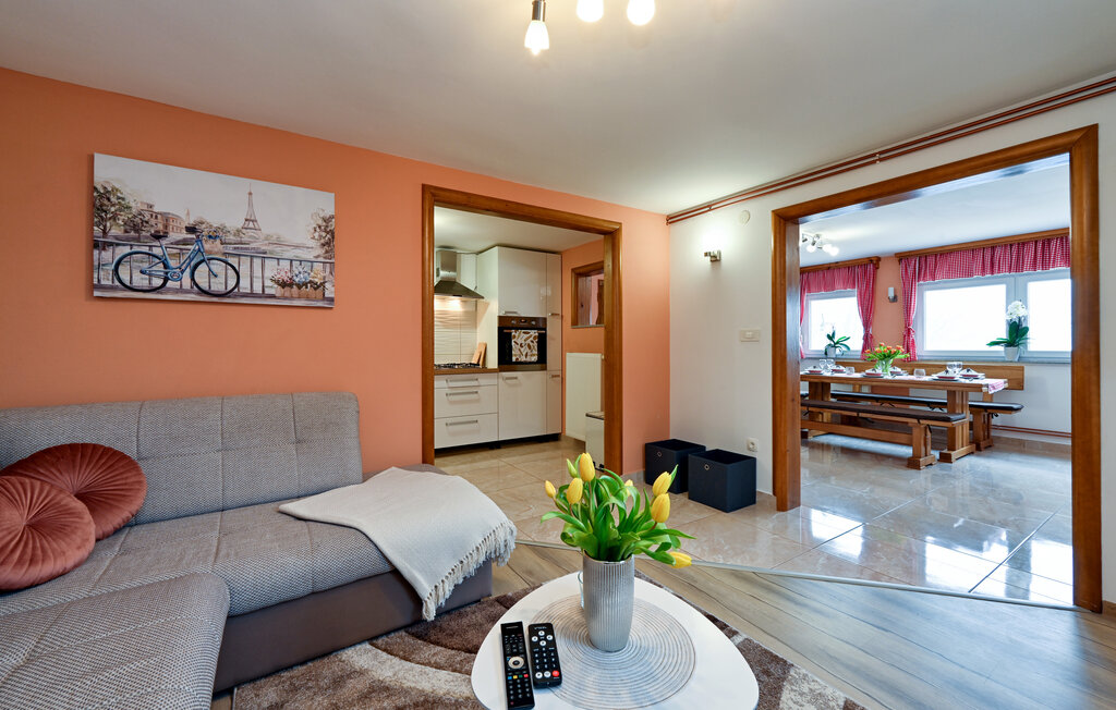 Ferienhaus - Varazdin-Pescenica Vinicka , Kroatien - CCC474 5