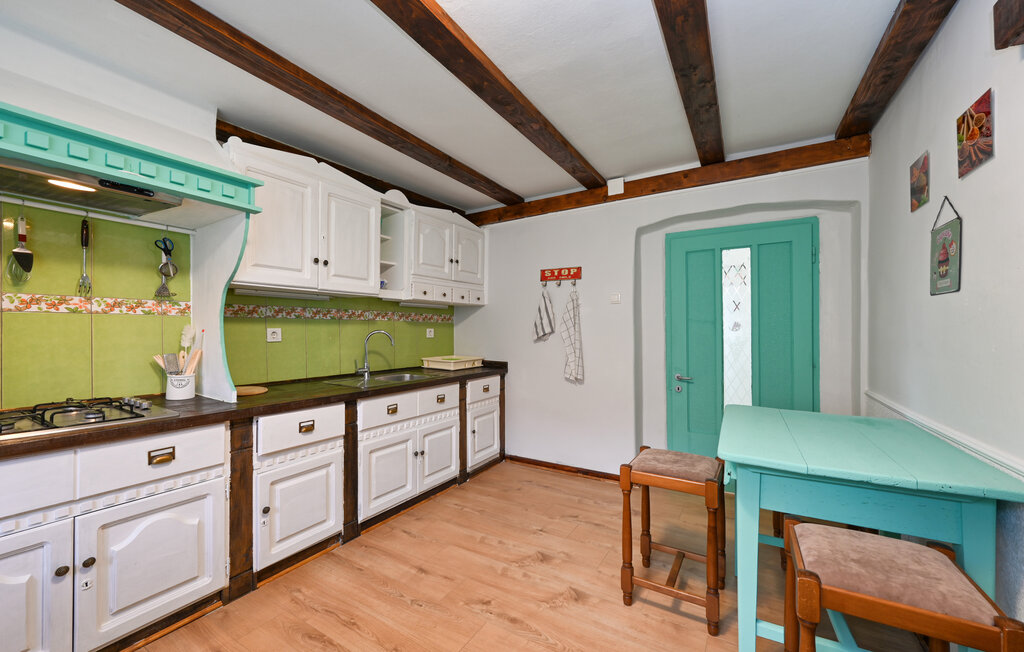 Kuća-za-odmor - Koprivnica - Hlebine , Hrvatska - CCC532 23