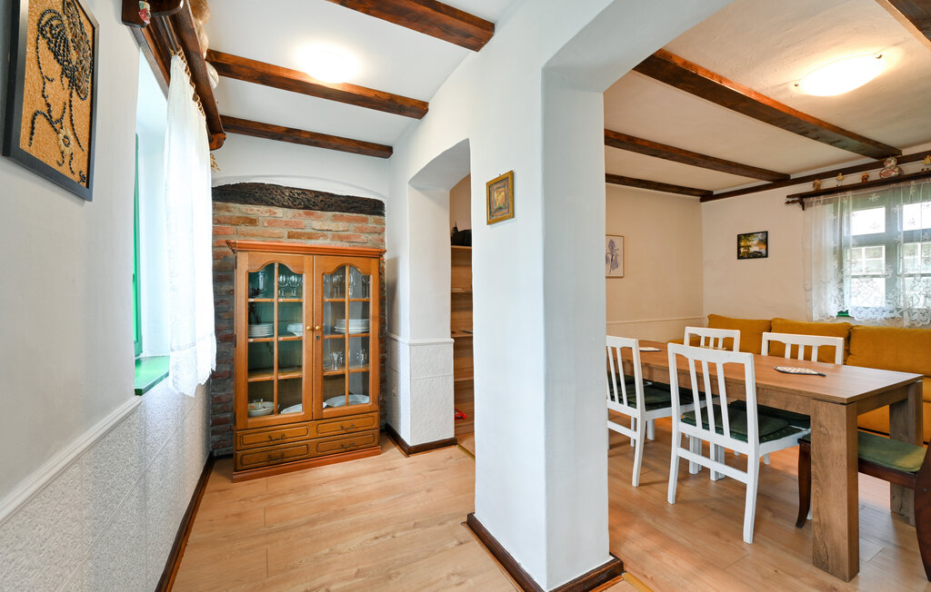 Kuća-za-odmor - Koprivnica - Hlebine , Hrvatska - CCC532 19