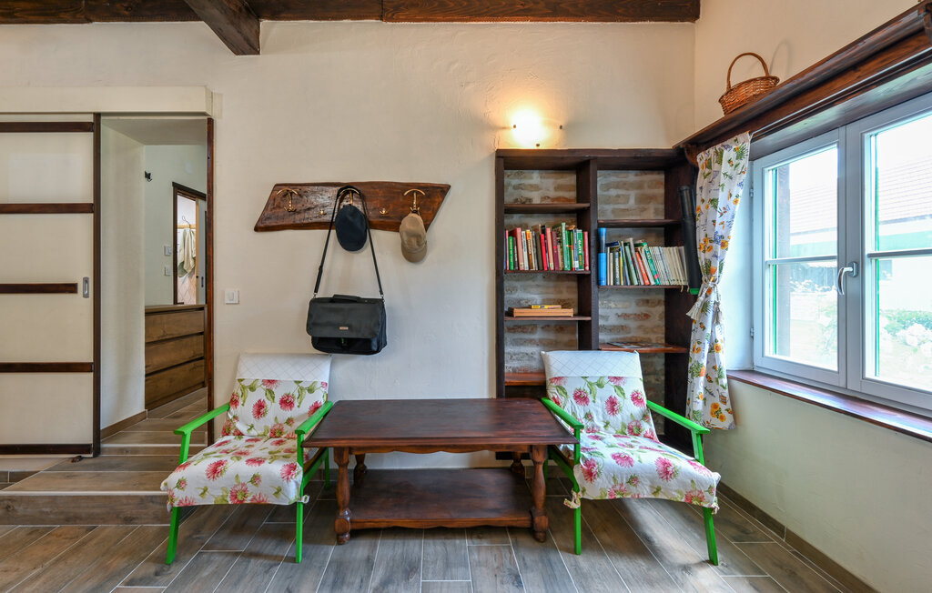 Kuća-za-odmor - Koprivnica - Hlebine , Hrvatska - CCC532 5