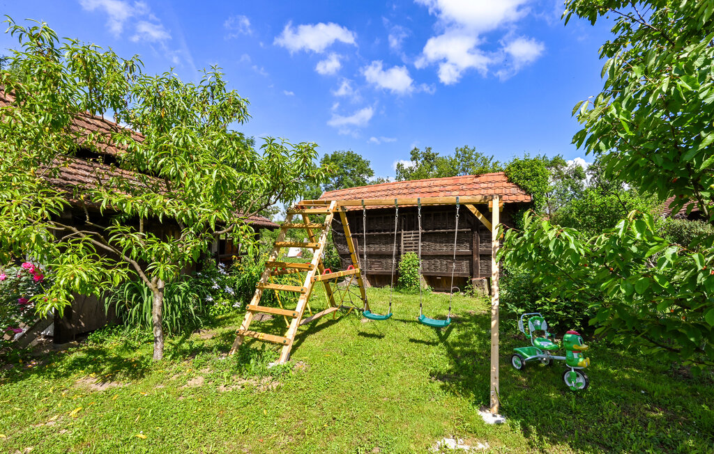 Kuća-za-odmor - Koprivnica - Hlebine , Hrvatska - CCC532 12