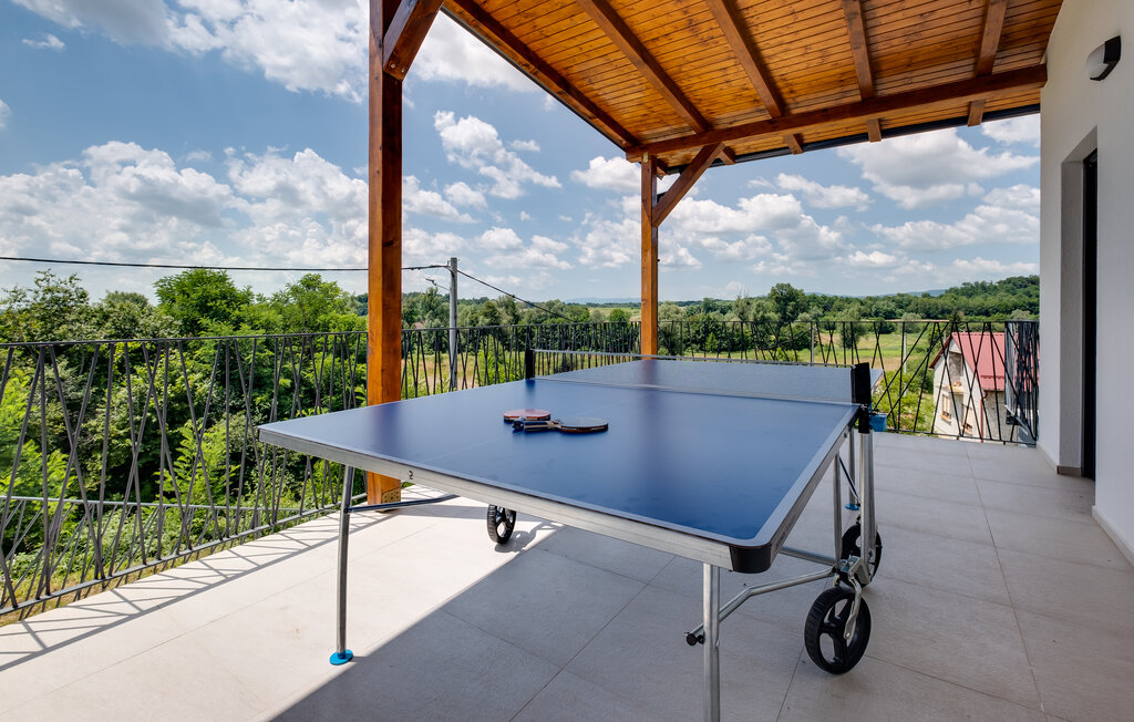 Domy wakacyjne - Vrbovec - Dvorisce , Chorwacja - CCC544 7