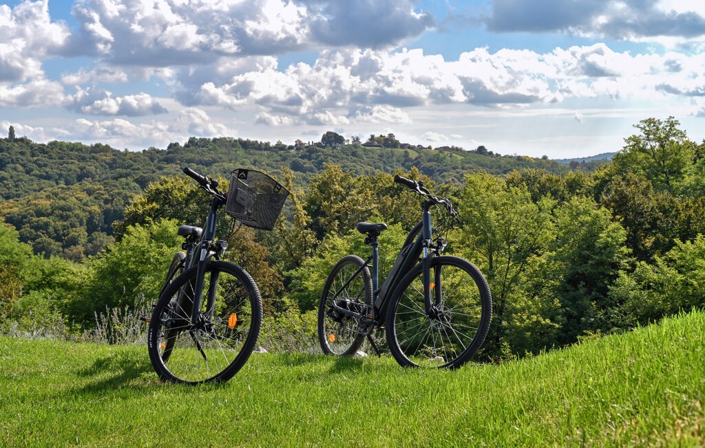 Domy wakacyjne - Strigova - Banfi , Chorwacja - CCC552 16