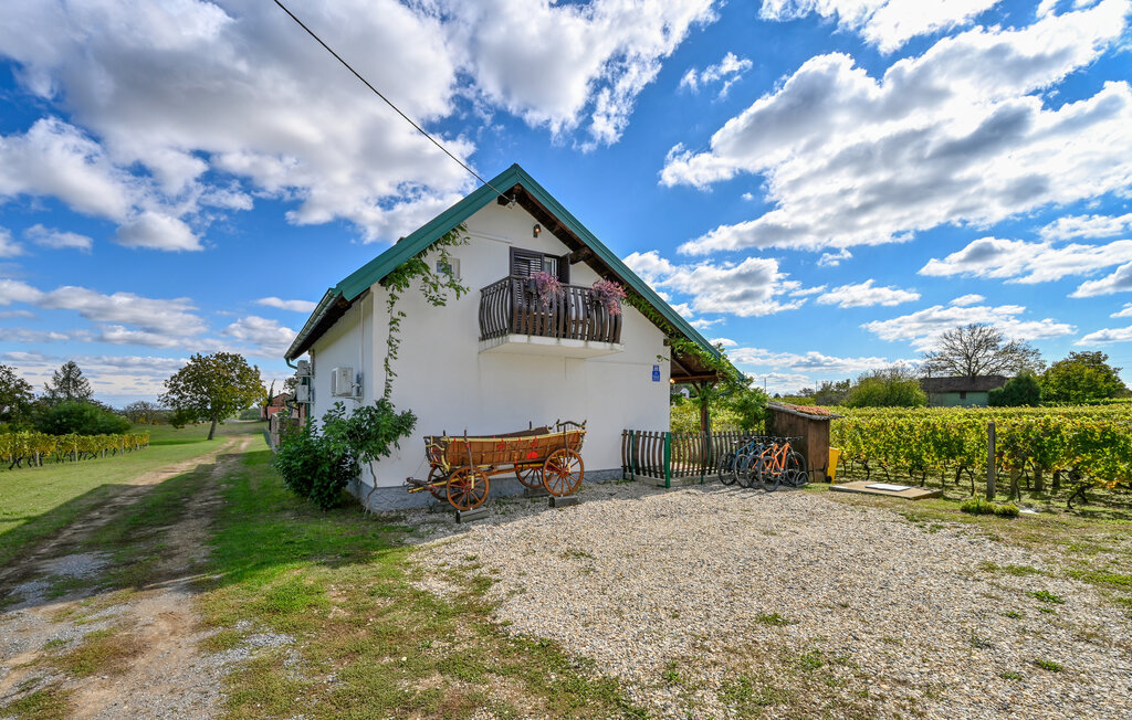Ferienhaus - Durdevac-Prugovac , Kroatien - CCC181 10