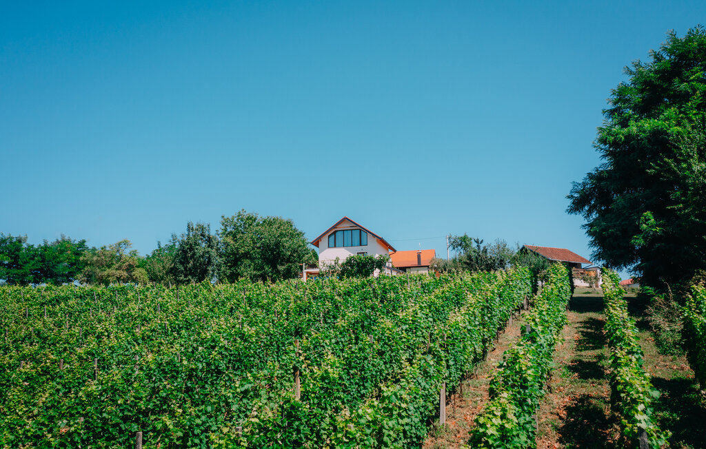 Ferienhaus - Cakovec-Vukanovec , Kroatien - CCC664 8