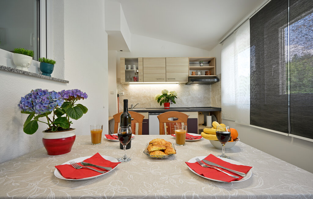 Feriehus - Novi Marof-Breznicki Hum , Kroatia - CCC342 22