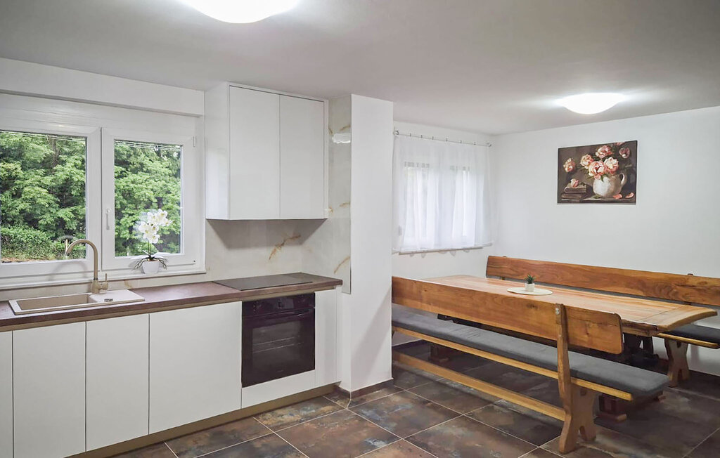 Kuća-za-odmor - Bjelovar - Kapela , Hrvatska - CCC683 12
