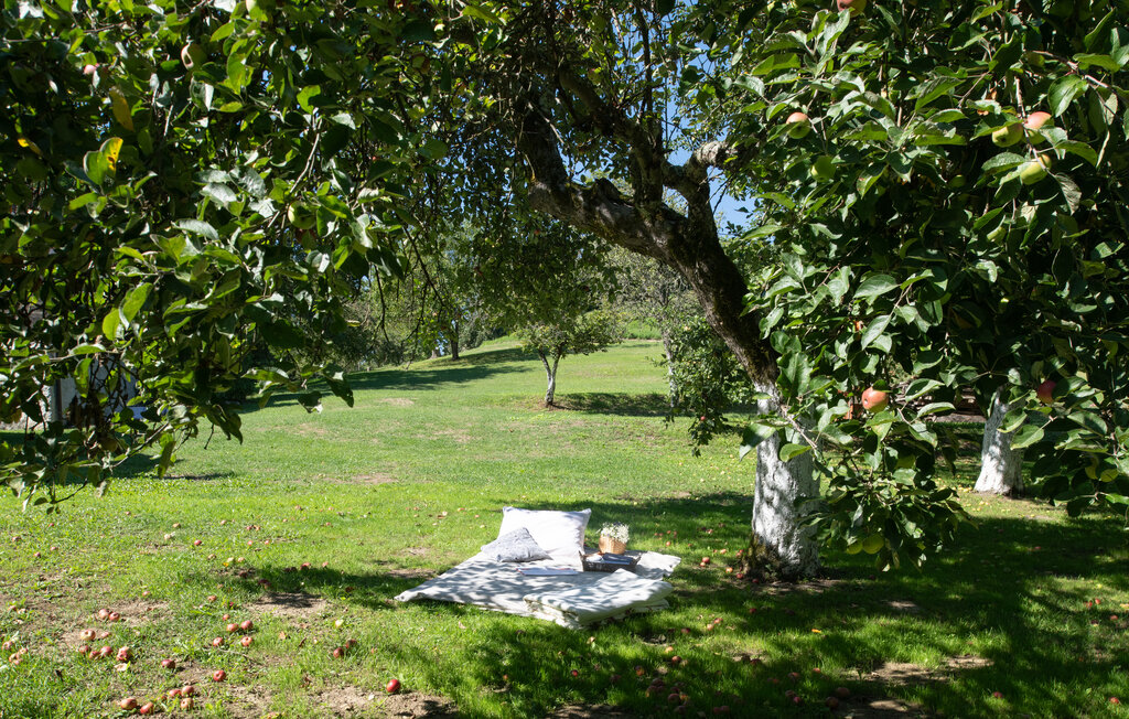 Ferienhaus - Petrinja - Hrvatski Cuntic , Kroatien - CCC513 9