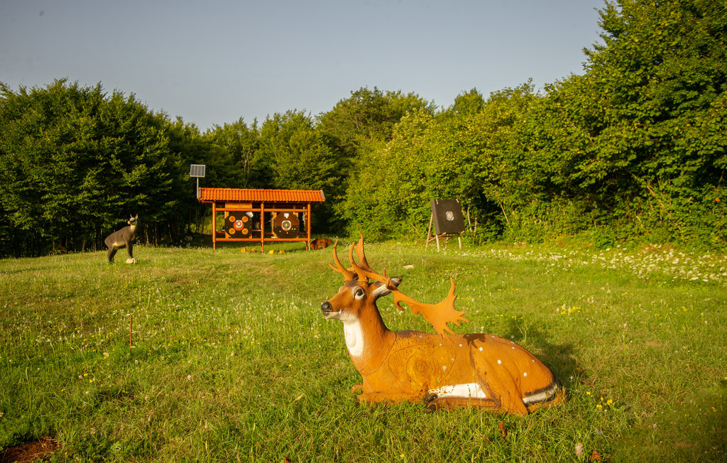Ferienhaus - Plitvicka jezera-Brinje , Kroatien - CCL092 36