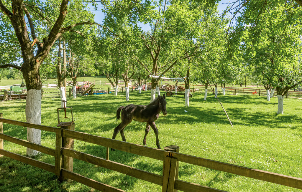 Kuća-za-odmor - Gospic-Brezik , Hrvatska - CCL181 25