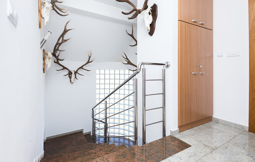 Feriehuse - Osijek-Ceminac , Kroatien - CCS072 25